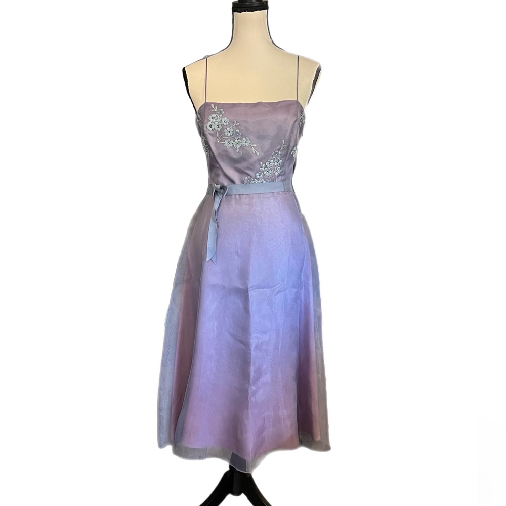 NWT Vintage Laundry Iridescent Sheer Organza Floral Embroidery Dress